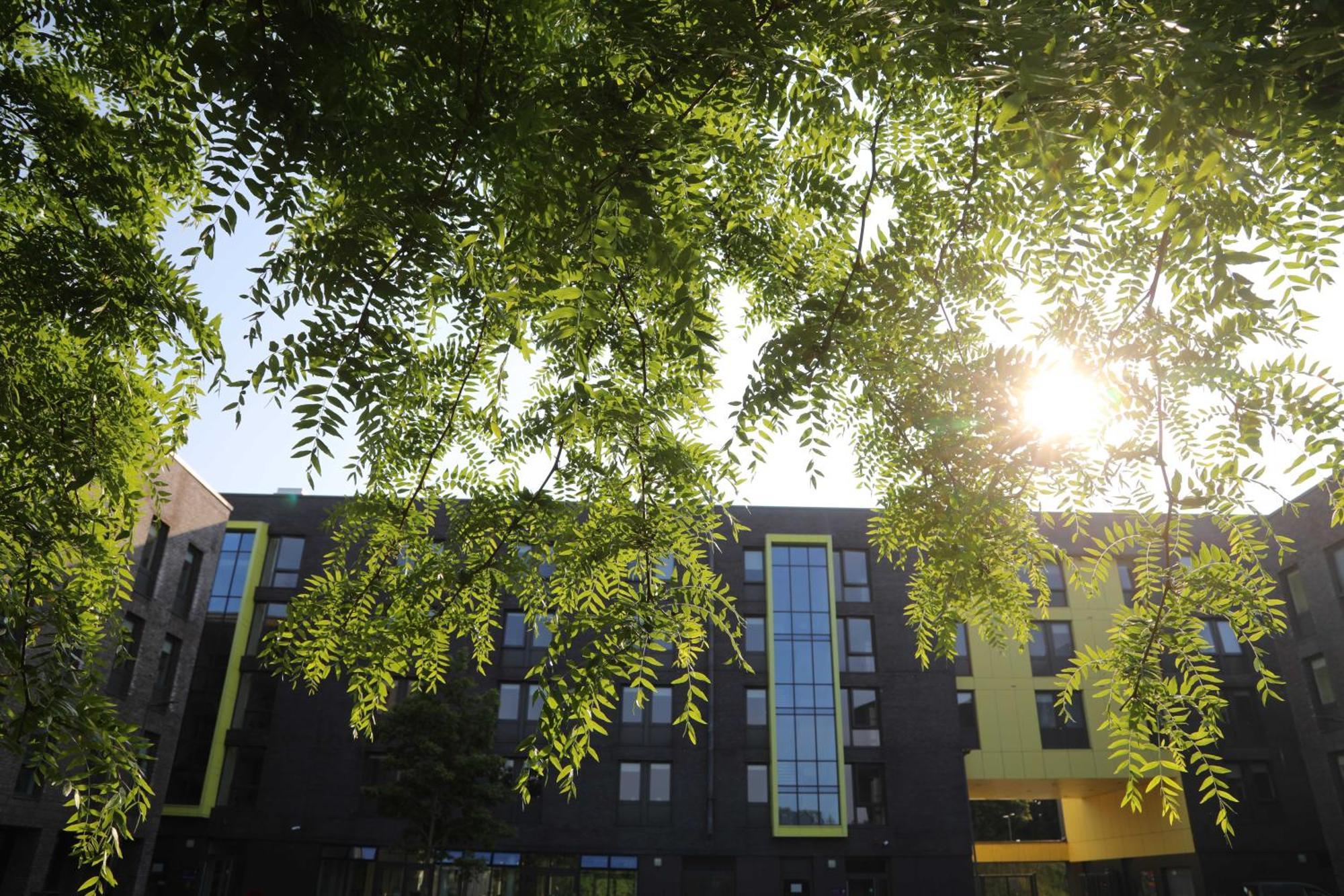 Goldcrest Village Rooms University Of Galway Eksteriør billede